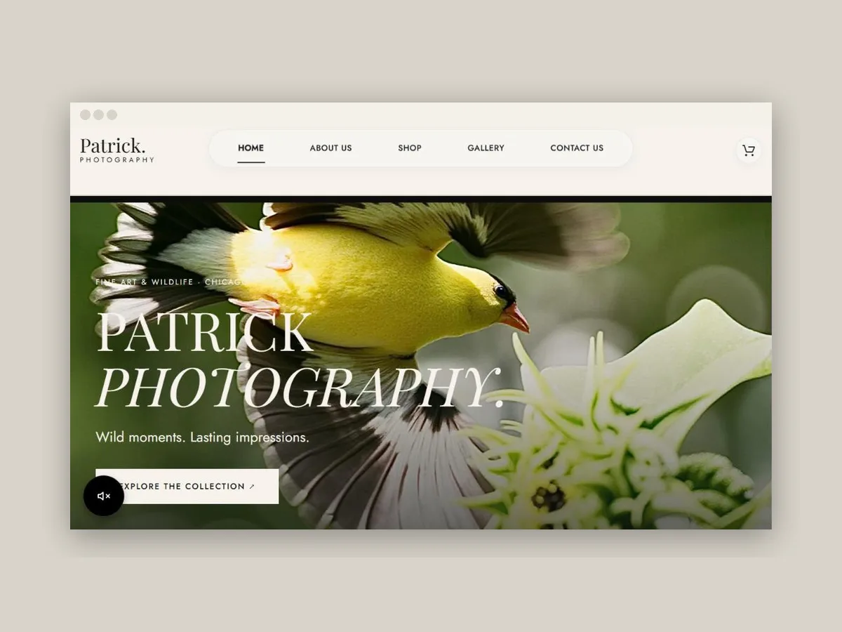 Patrick Photography — project imagery