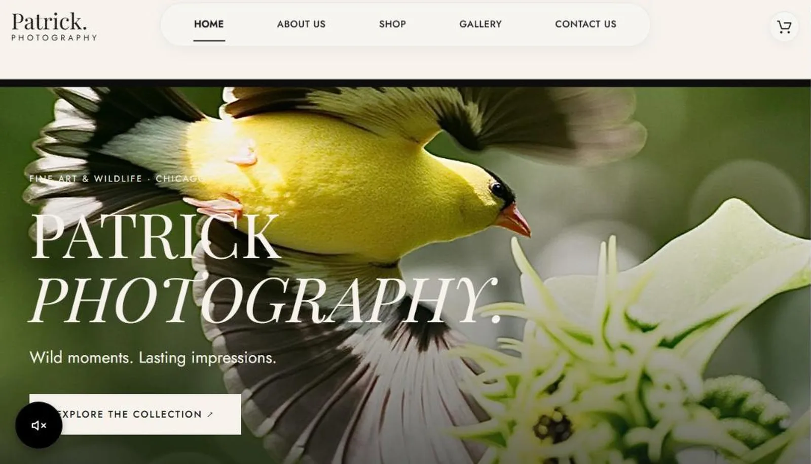 Patrick Photography desktop screen 1