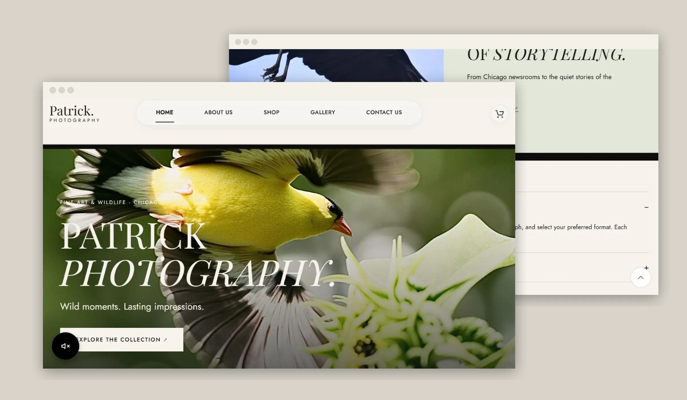 Patrick Photography — project presentation